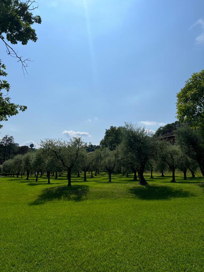 Homely Manerba Manerba del Garda Exteriér fotografie